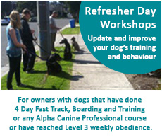 Refresher Day Workshops Refresher Day Workshops
