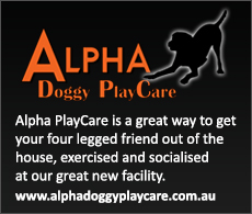 Alpha Doggy PlayCare Alpha Doggy PlayCare