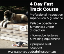 Read more about our 4 Day Fast Track Course Read more about our 4 Day Fast Track Course