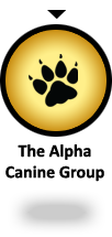YOU ARE HERE: The Alpha Canine Group - offering a complete selection of canine training services