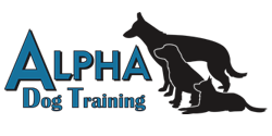 Alpha Dog Training Alpha Dog Training